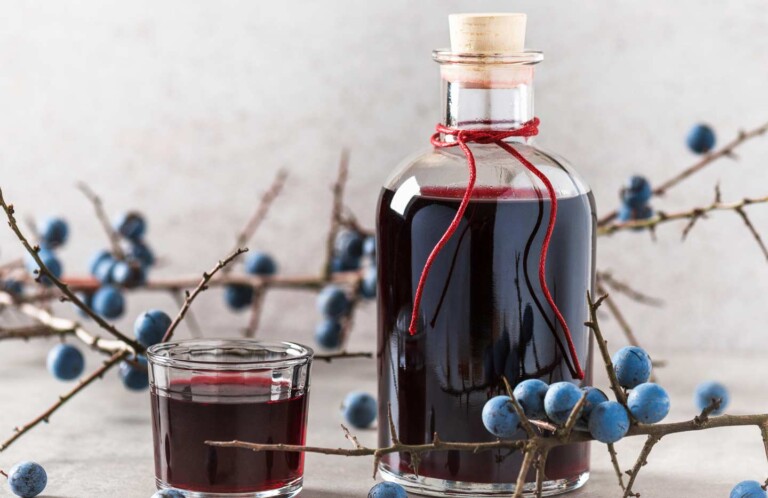 Old fashioned sloe gin recipe - The Trencherman's Guide