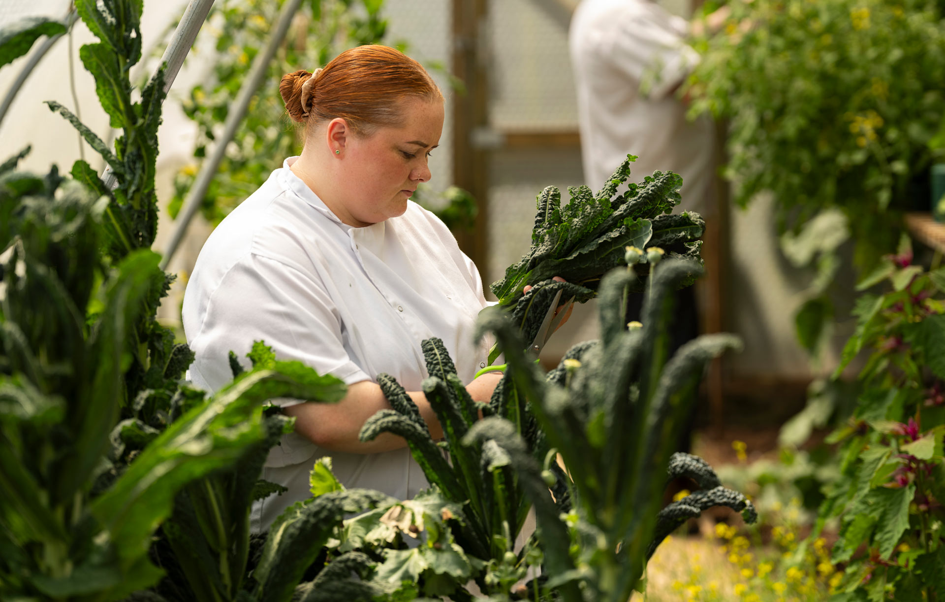 Ellie Wentworth at the regenerative Fowlescombe Farm